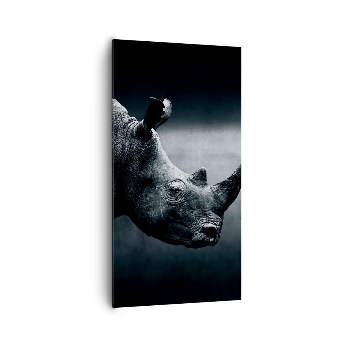 Lærredstryk - Billede på lærred - Højre profil - 65x120 cm