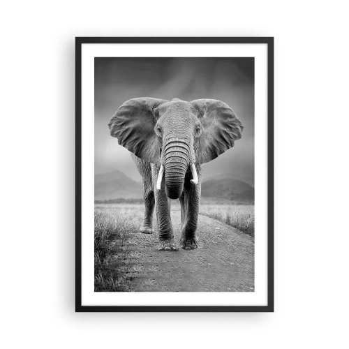 Plakat i sort ramme - En elefant mod et afrikansk landskab i sort-hvid - 50x70cm - Værten byder velkommen til - Moderne vægdekoration til stue og soveværelse ARTTOR