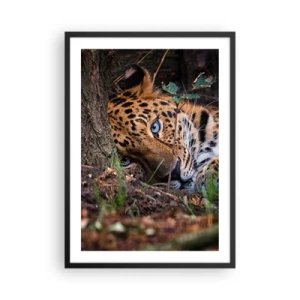 Plakat i sort ramme - En liggende leopard med intense blå øjne - 50x70cm - Stol på mig - Moderne vægdekoration til stue og soveværelse ARTTOR