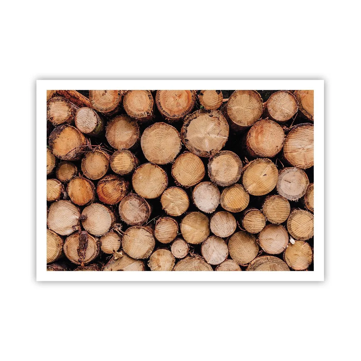 Plakat - En ny begyndelse - 100x70 cm