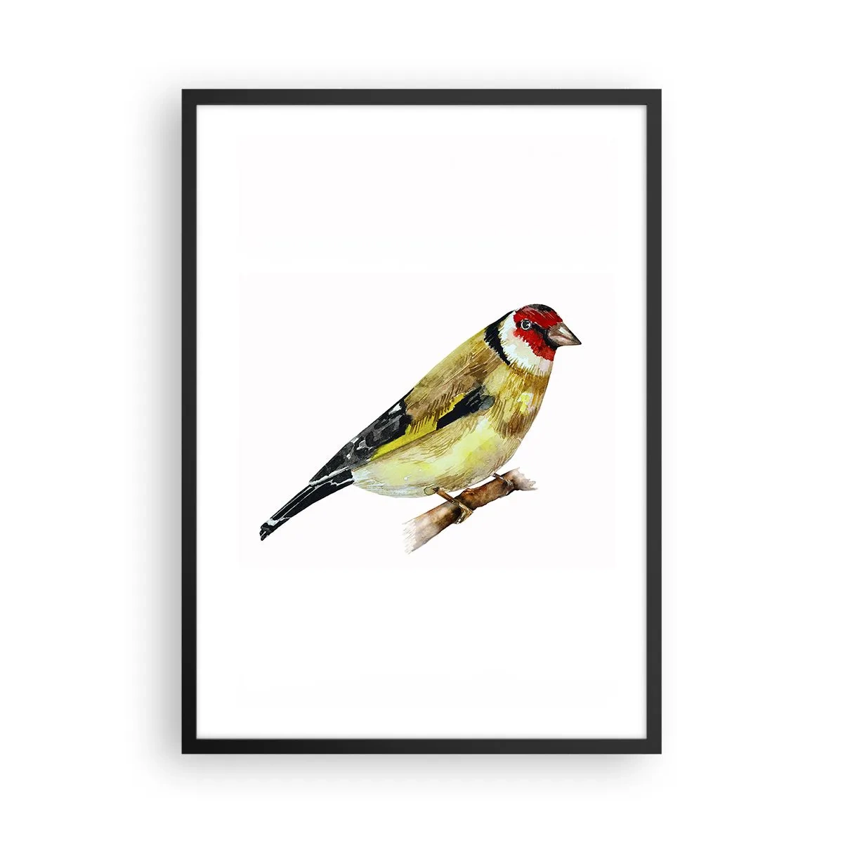 Plakat i sort ramme - Stillits på en gren i akvarelstil - 50x70cm - Portræt af en fugl - Moderne vægdekoration til stue og soveværelse ARTTOR