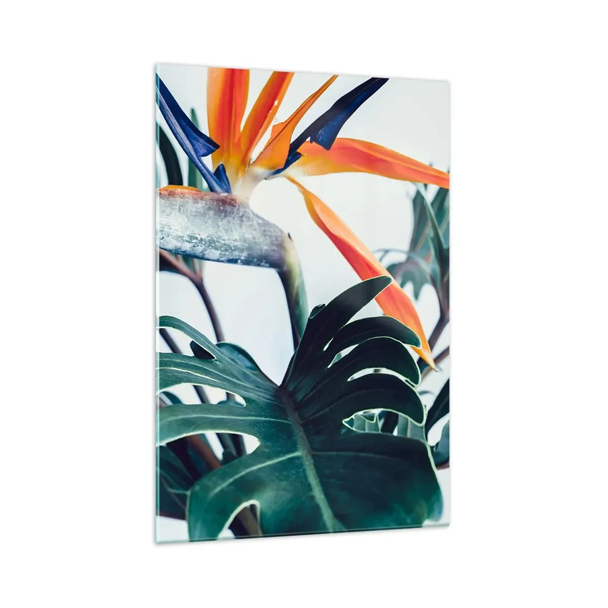Billede på glas - Fuglebur - 70x100 cm