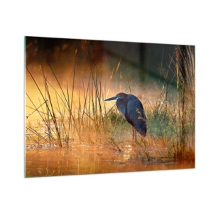 Billede på glas - Giv mig en chance med disse billeder - 100x70 cm