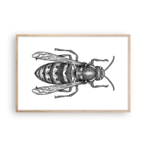 Plakat i ramme af lyst egetræ - Fra en insektplanet - 91x61 cm