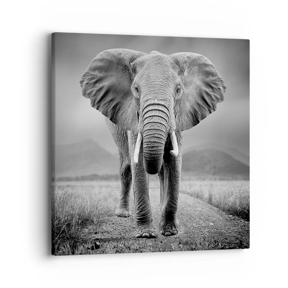 Lærredstryk - Billede på lærred - Værten byder velkommen til - 40x40 cm