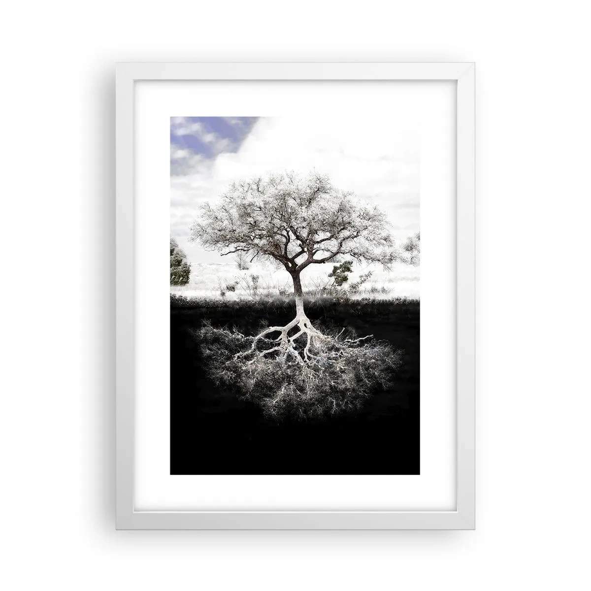 Plakat i hvid ramme - Opdagelse af verdens natur - 30x40 cm