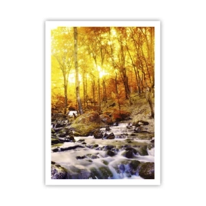 Plakat - Sten indfattet i guld og platin - 70x100 cm