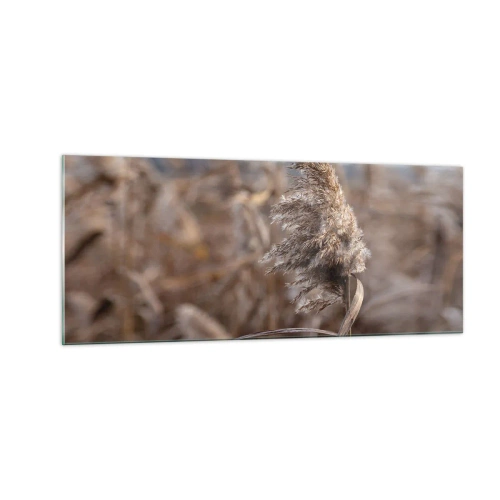 Billede på glas - Tid til at flyve væk med vinden - 100x40 cm