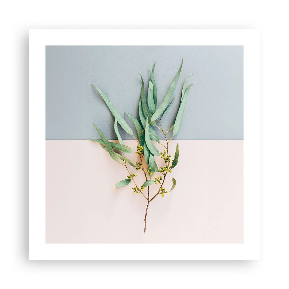 Plakat - Pastelfarvernes subtilitet - 50x50 cm