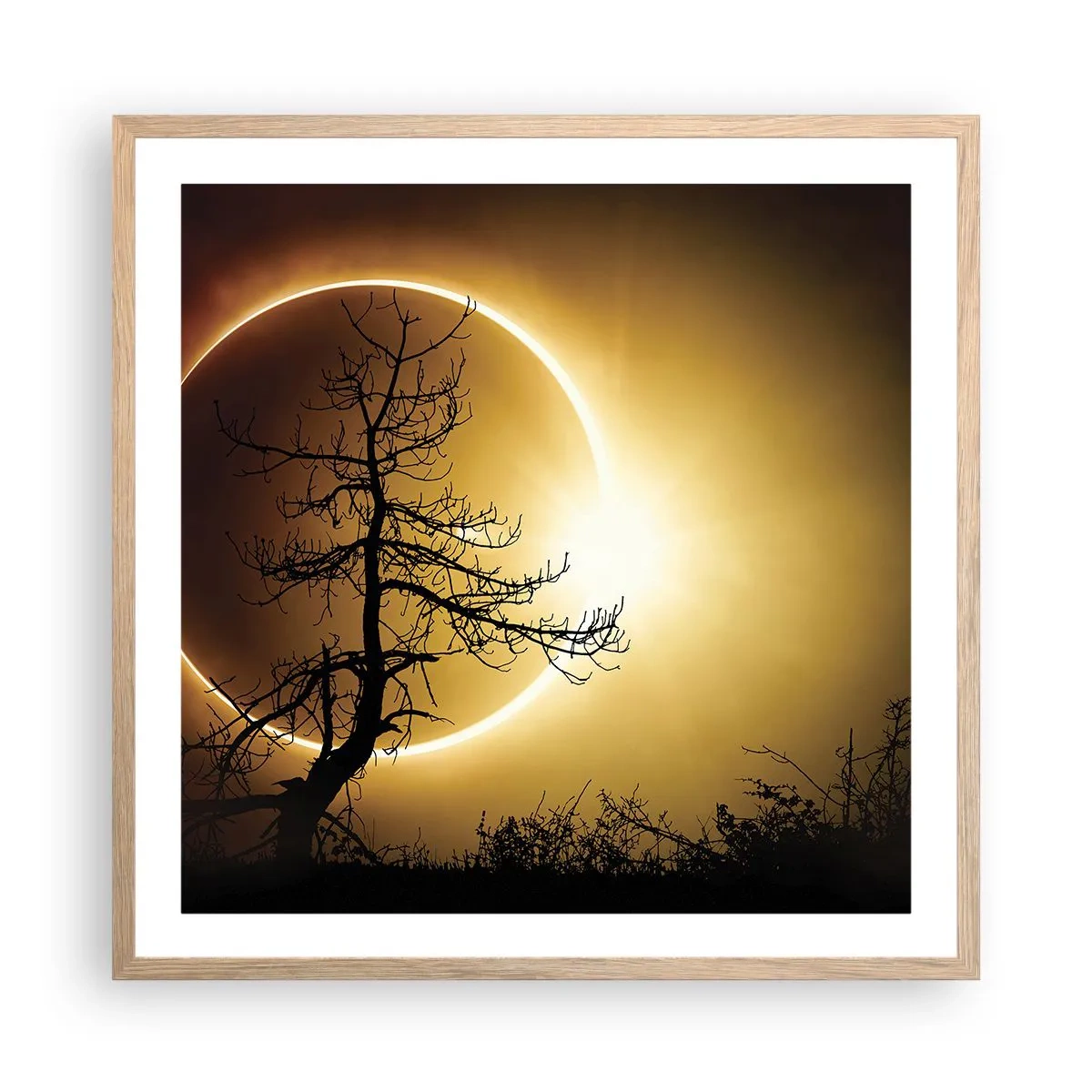 Plakat i ramme af lyst egetræ - Total formørkelse - 60x60 cm