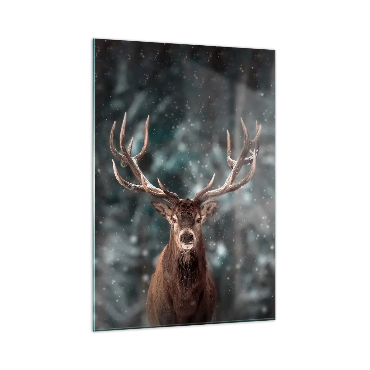 Billede på glas - Skovens konge kronet - 50x70 cm