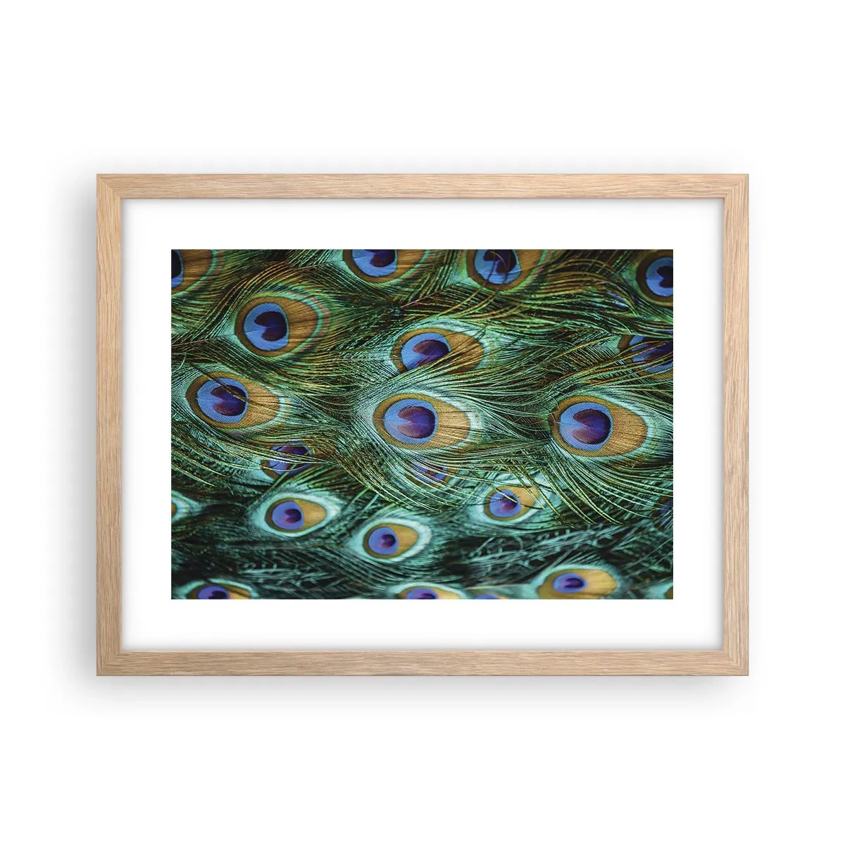 Plakat i ramme af lyst egetræ - En påfugls blik - 40x30 cm