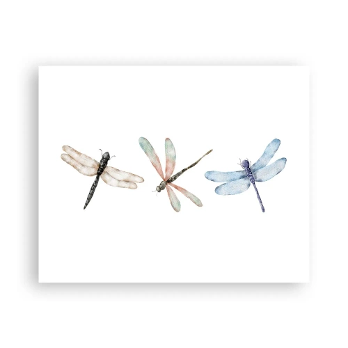 Plakat - Vægtløse guldsmede - 50x40 cm