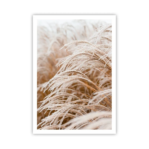 Plakat - Bøjer sig for efterårssolen - 70x100 cm