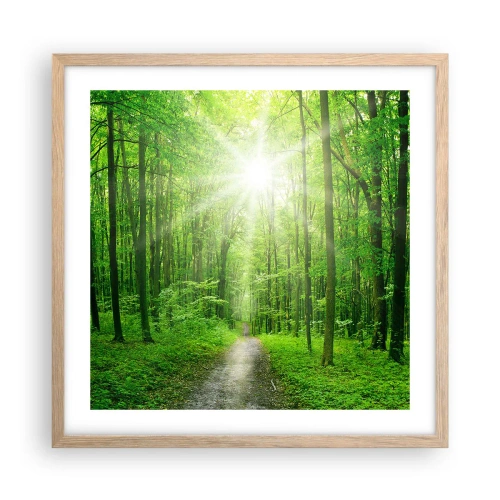 Plakat i ramme af lyst egetræ - Grøn katedral - 50x50 cm