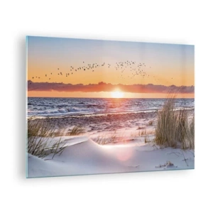 Billede på glas - Solnedgang over havet med fugle og klitter - 70x50cm - Vandret landskab - Moderne vægdekoration til stue og soveværelse ARTTOR