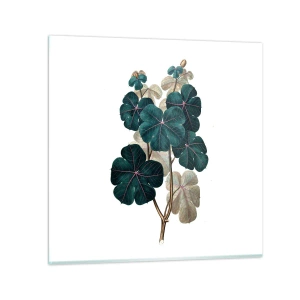 Billede på glas - Fra et gammelt herbarium - 60x60 cm