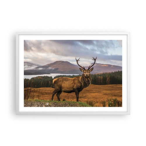 Plakat i hvid ramme - Naturens majestæt - 70x50 cm