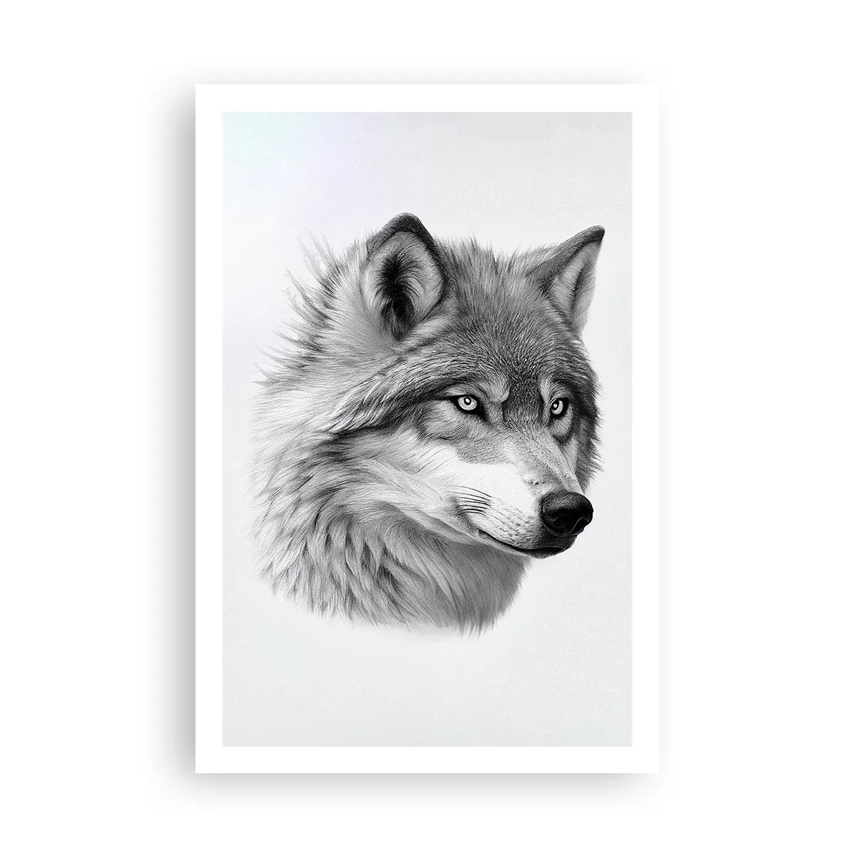 Plakat - Alpha - uden tvivl - 61x91 cm