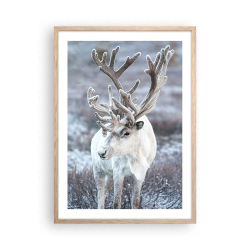 Plakat i ramme af lyst egetræ - Portræt i solen - 50x70 cm