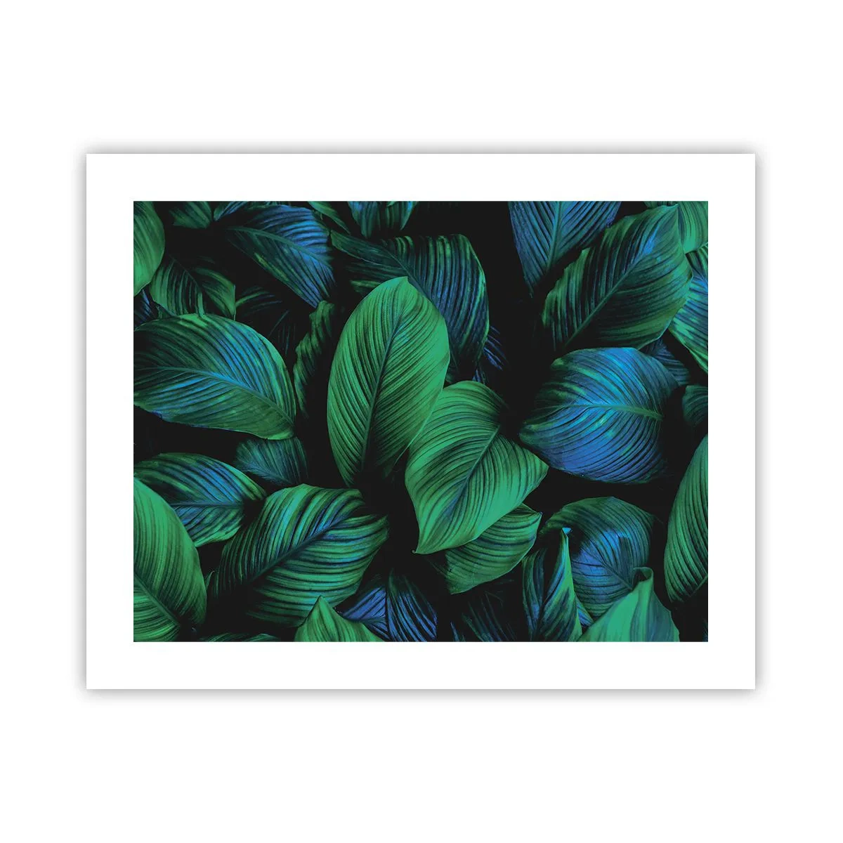 Plakat - I den grønne flok - 50x40 cm