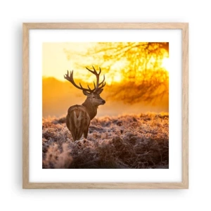 Plakat i ramme af lyst egetræ - Kongen af efterårsskoven - 40x40 cm