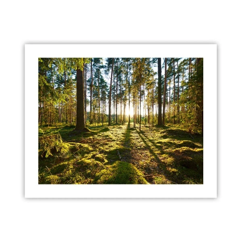 Plakat - ...Bag de syv skove - 50x40 cm