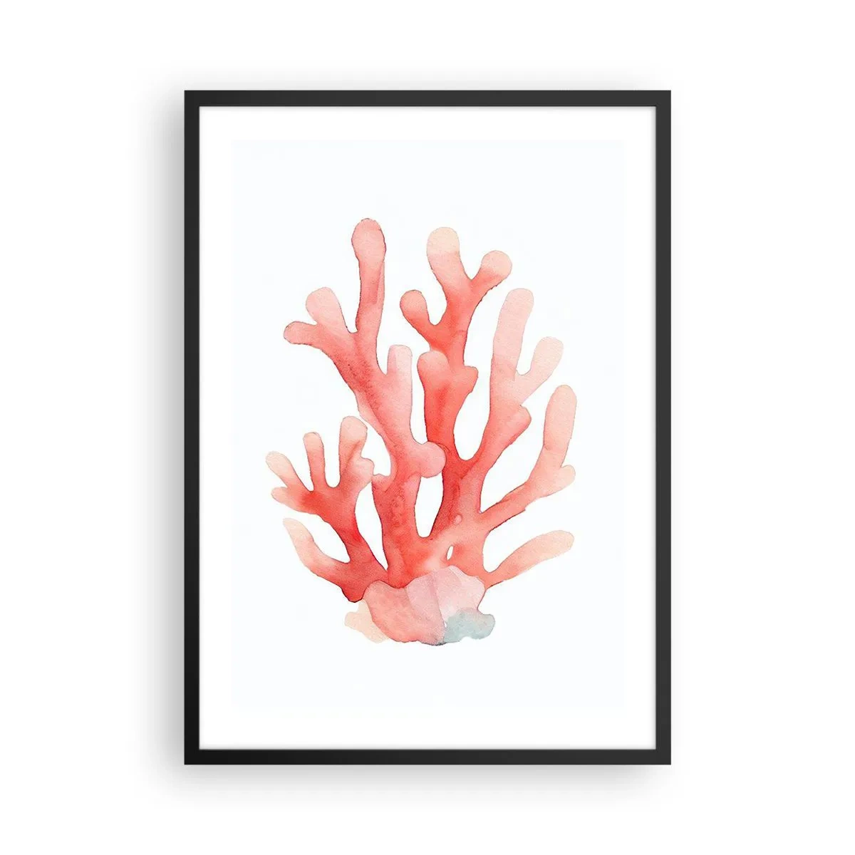 Plakat i sort ramme - Akvarel illustration af rød koral på en hvid baggrund - 50x70cm - Farven koral - Moderne vægdekoration til stue og soveværelse ARTTOR
