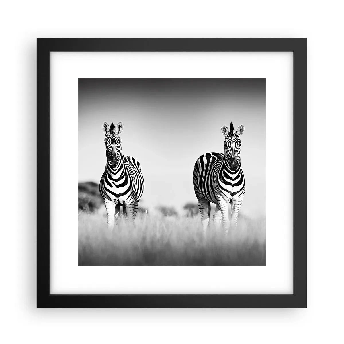 Plakat i sort ramme - Og alligevel er verden sort og hvid - 30x30 cm