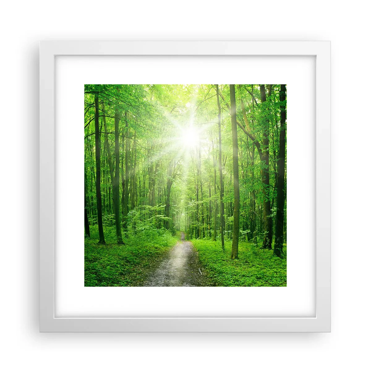 Plakat i hvid ramme - Grøn katedral - 30x30 cm