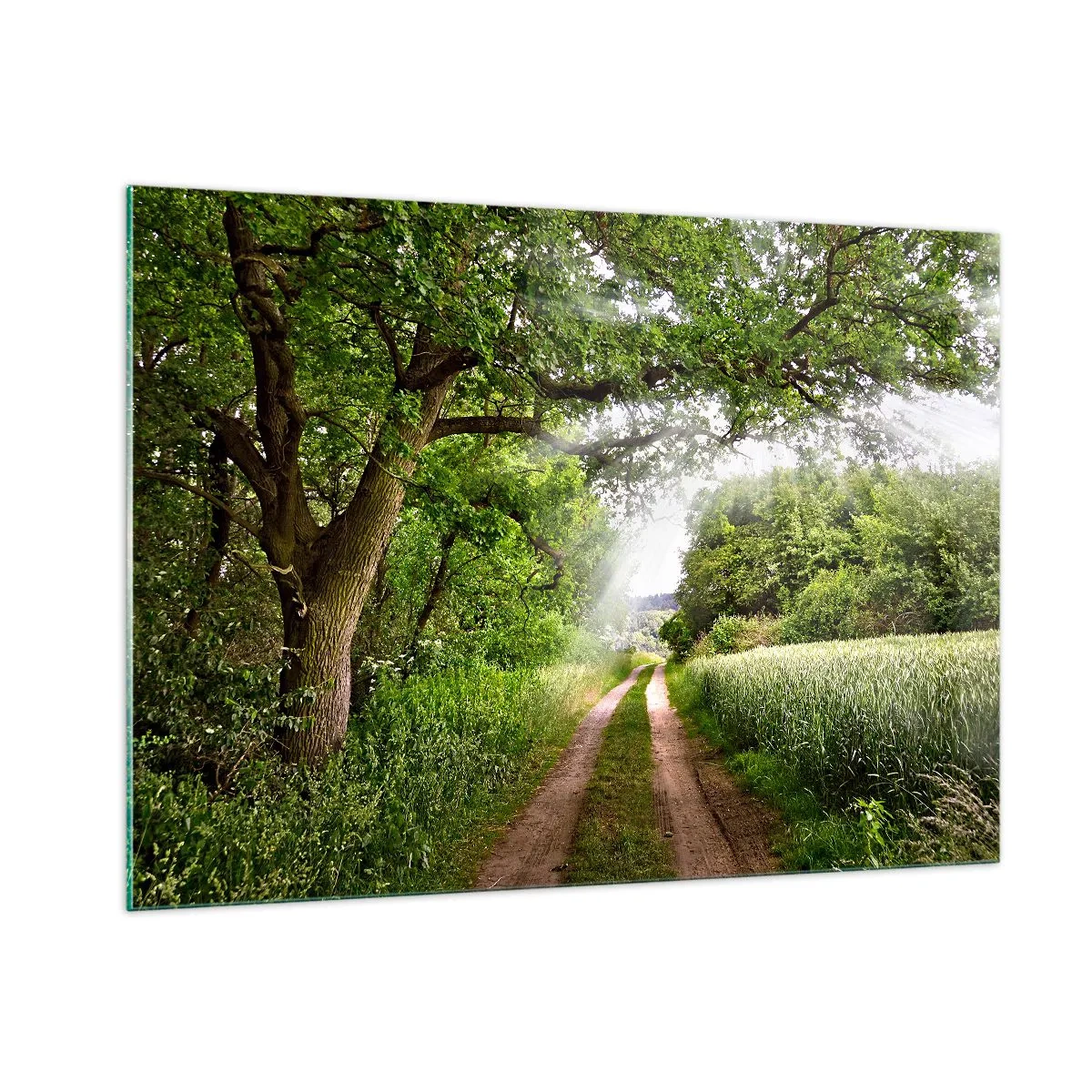 Billede på glas - Et in Arcadia ego - 100x70 cm