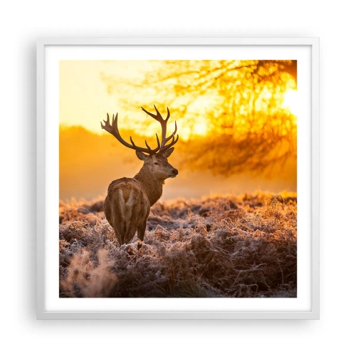 Plakat i hvid ramme - Kongen af efterårsskoven - 60x60 cm