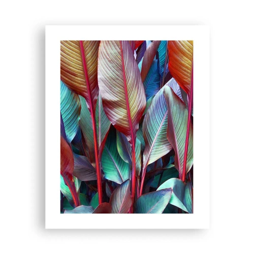 Plakat - Farverigt krat - 40x50 cm