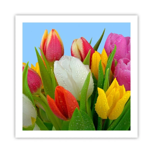 Plakat - En blomstret regnbue i dugdråber - 60x60 cm