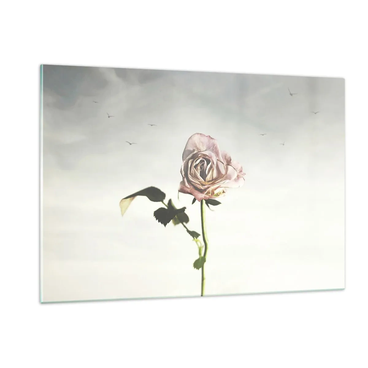 Billede på glas - Velkomst til foråret - 120x80 cm