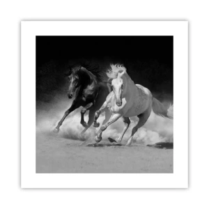 Plakat - Frihedens galop - 40x40 cm