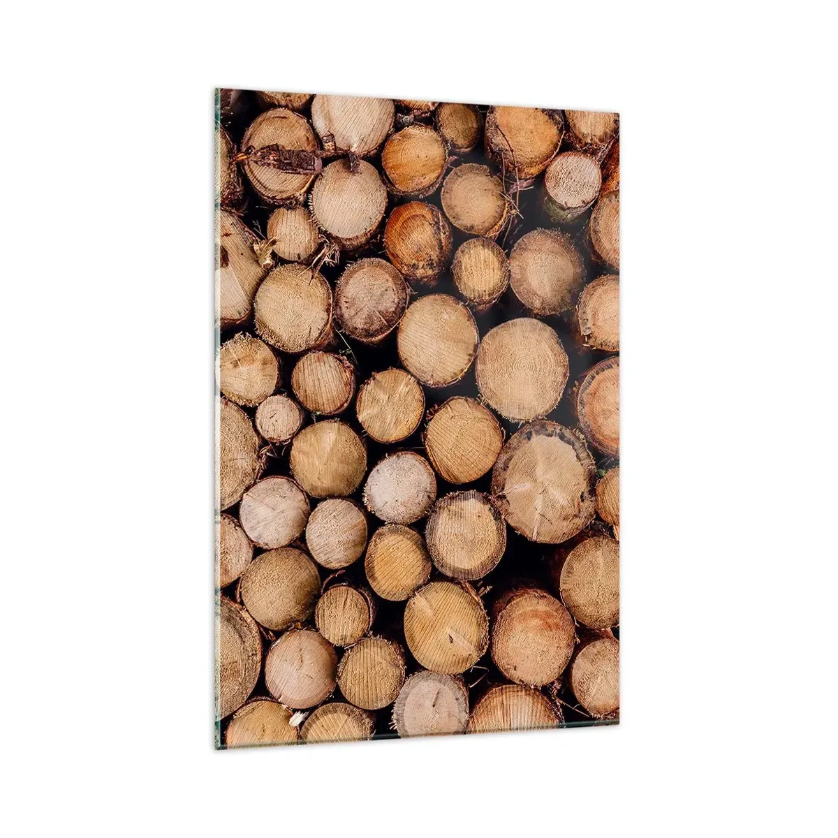 Billede på glas - En ny begyndelse - 80x120 cm