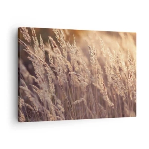 Lærredstryk - Billede på lærred - Gyldne græsser mod baggrunden af den nedgående sol - 70x50cm - Klar til at byde efteråret velkommen - Moderne vægdekoration til stue og soveværelse ARTTOR