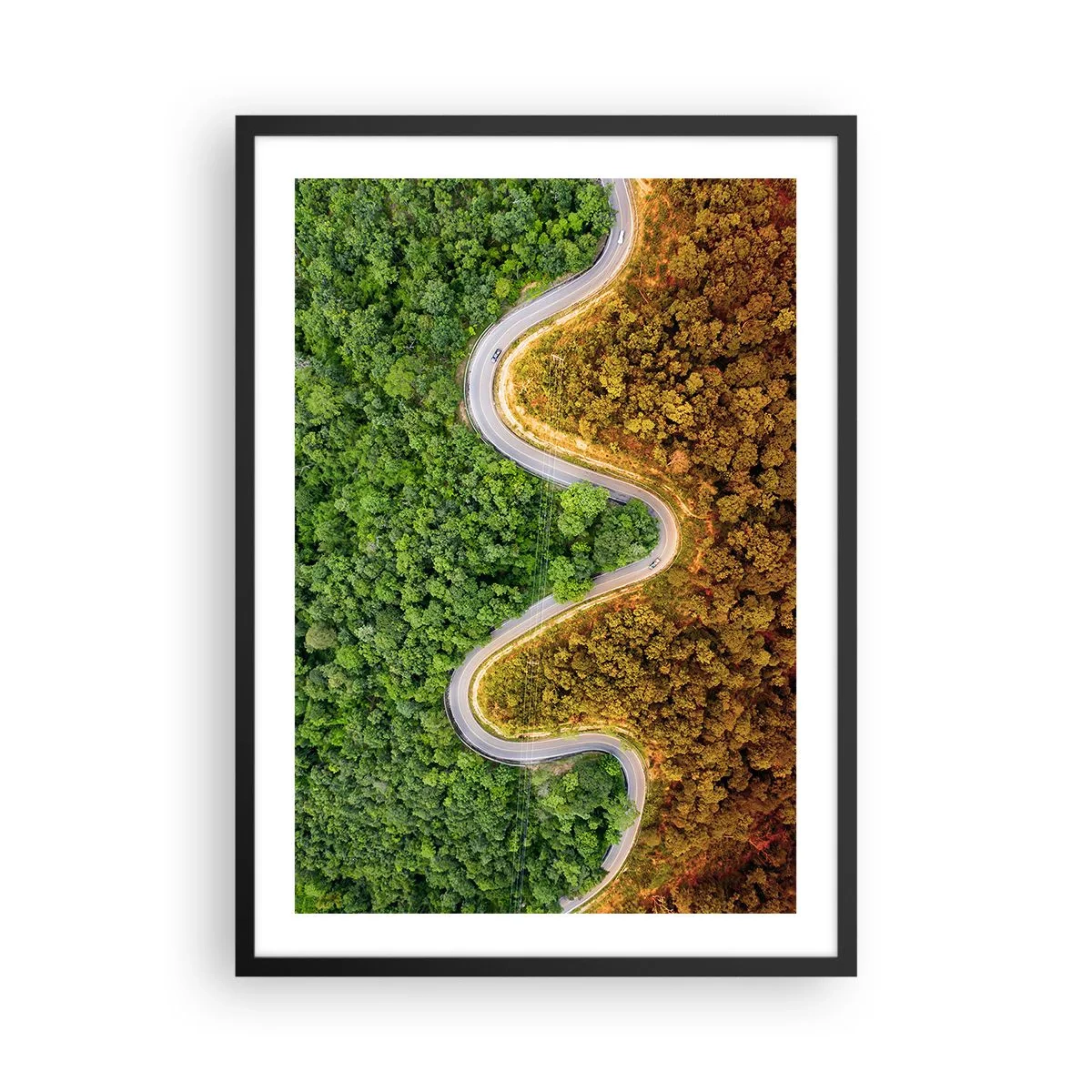 Plakat i sort ramme - En vej snor sig gennem en skov opdelt i grønne og efterårsdele - 50x70cm - Grænser og gennembrud - Moderne vægdekoration til stue og soveværelse ARTTOR