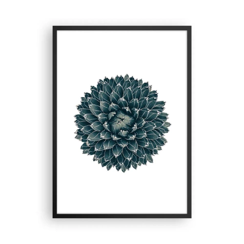Plakat i sort ramme - Detalje af en sukkulent med et symmetrisk bladarrangement - 50x70cm - Ørkenstjerne - Moderne vægdekoration til stue og soveværelse ARTTOR