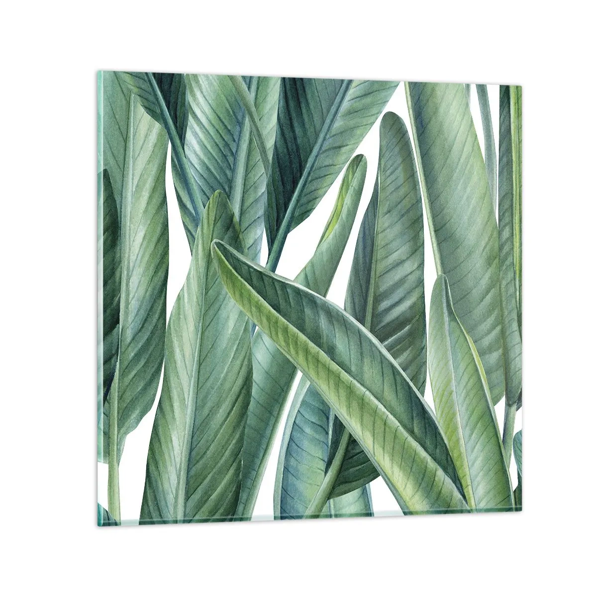 Billede på glas - Det grønne i sig selv - 70x70 cm