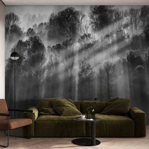 Fototapet Standard Eco - Sort og hvid skov med lysstråler, der skinner gennem træerne - 100x70cm - I stråler af lys - Moderne vægdekoration til stue og soveværelse ARTTOR