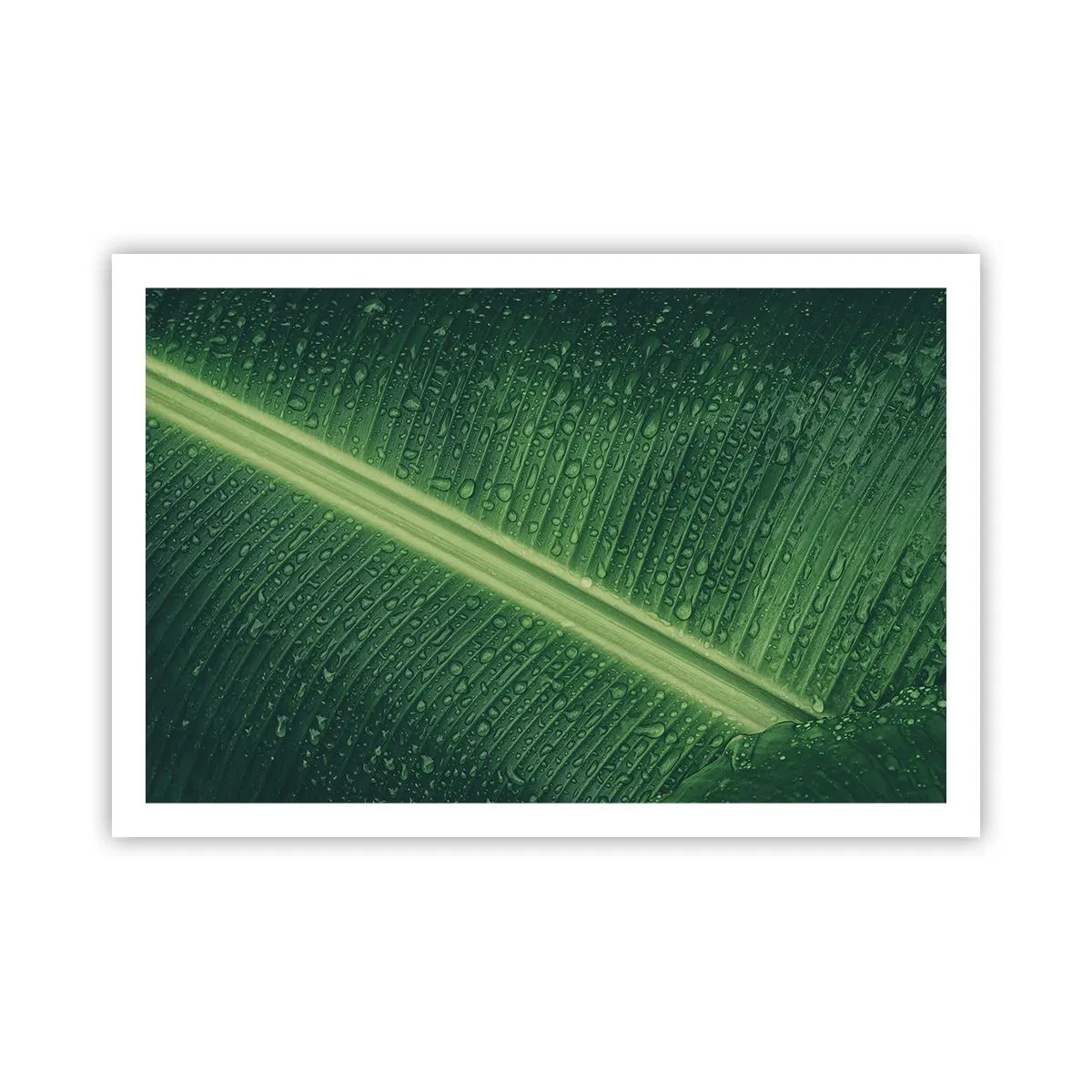 Plakat - Grøn struktur - 91x61 cm