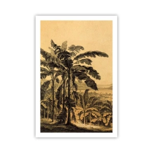 Plakat - I en kolonial atmosfære - 61x91 cm