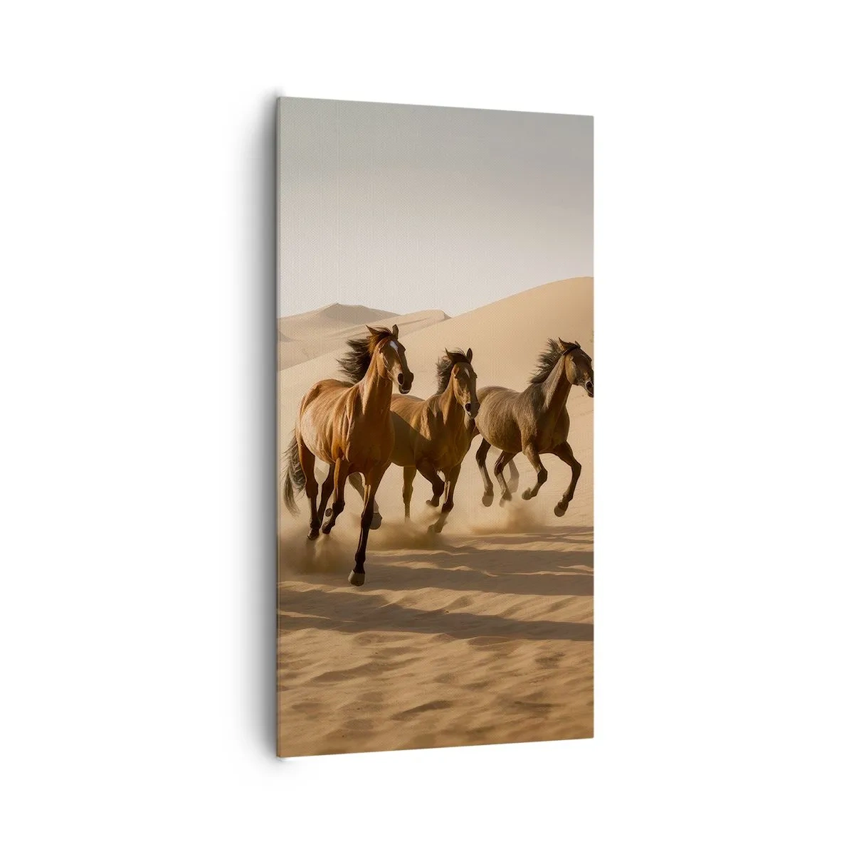 Lærredstryk - Billede på lærred - Fri som vinden - 65x120 cm