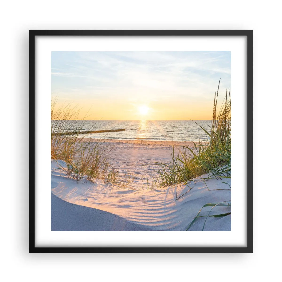 Plakat i sort ramme - Havet brummer, fuglene synger, en vild strand midt i græsset.... - 50x50 cm