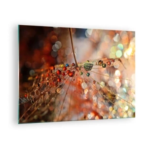 Billede på glas - Vanddråber på et delikat spindelvæv i bokeh-lys - 70x50cm - Trådet på et edderkoppespind - Moderne vægdekoration til stue og soveværelse ARTTOR