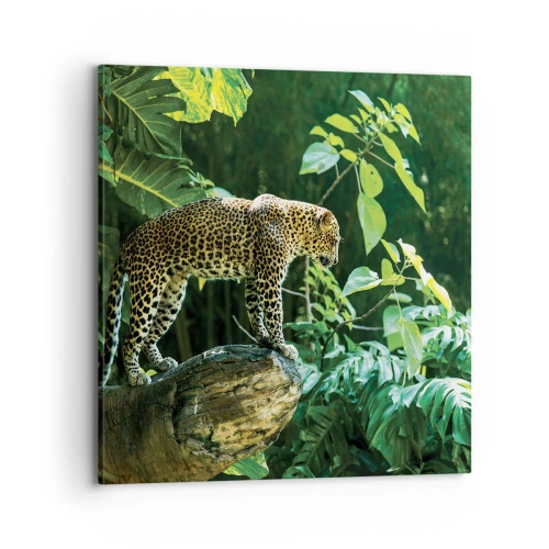 Lærredstryk - Billede på lærred - Til jagt? - 70x70 cm