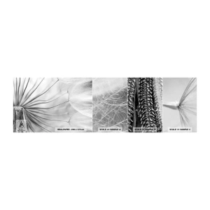 Fototapet Prøve Standard Eco - Blæsende drager - Minimalisme, Delikat, Blomst - 100x30 cm