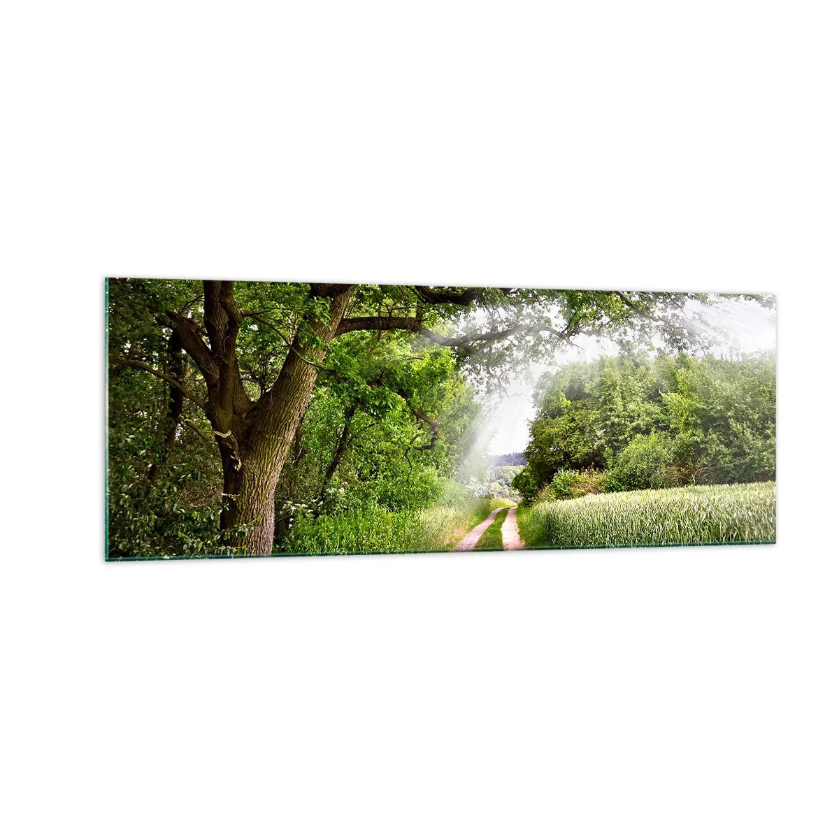 Billede på glas - Et in Arcadia ego - 140x50 cm